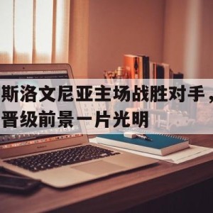 游戏平台-斯洛文尼亚主场战胜对手，晋级前景一片光明的简单介绍