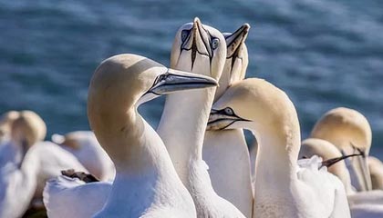 C7娱乐官网网页版|跑步赛事v2.8.8