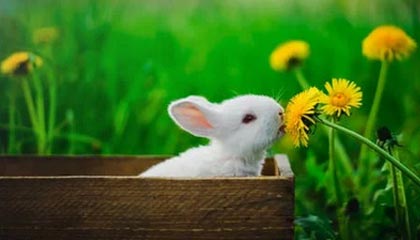 C7娱乐官网网页版|自行车赛事v6.6.7