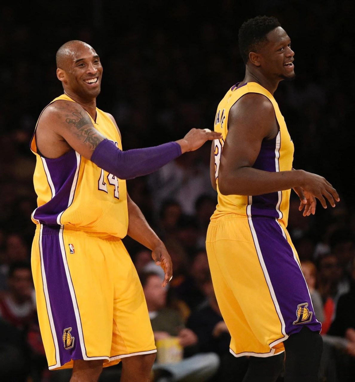 关于鹈鹕队队员朱利叶斯兰德尔因伤休战一周的信息