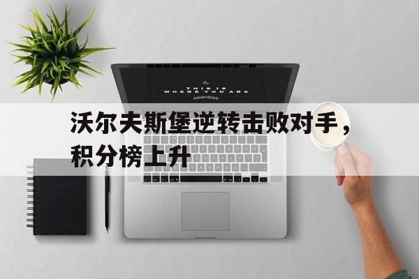 沃尔夫斯堡历年阵容