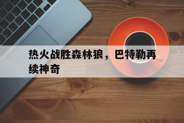 热火战胜森林狼，巴特勒再续神奇(巴特勒带领热火进总决赛)